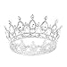 S SNUOY Queen Crowns for Women Silver Crown Crystal Tiaras for Women Full Round Headpiece for Birthday Wedding Party Head Accessoies