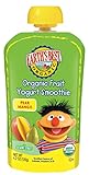 Earth's Best Organic Fruit Yogurt Smoothie, Pear & Mango, 4.2 Ounce Pouch (Pack of 12)