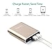 Lumsing 13400mAh Portable Charger - Compact 2-Port Ultra Portable Phone Charger Power Bank with PowerIQ Technology for SmartPhones,Tablets(Gold)