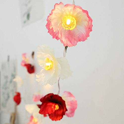 LED Light,coersd Led Flower Light Small Silk Flower Christmas Room Decoration String Light