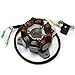 Caltric Stator Fits HONDA TRX250R TRX 250R FOURTRAX 1986 1987 1988 ATV RS100H8