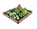 Frame It All 1-inch Series Composite Raised Garden Bed Kit – 8ft. x 8ft. x 11in.thumb 4