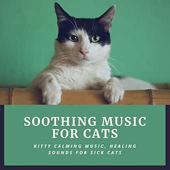 kitty calming music