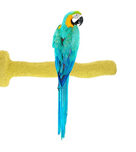 Sweet Feet and Beak Thermal-Lite Natural Patented Perch, X-Large – Yellow- Perfect for Keeping your Bird's Feet and Beaks Healthy