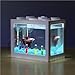 Womdee LED Aquarium Mini Fish Tank, Clear Bettas Fish Tank Block Fish Tank Reptile Box USB Office Table Decoration Ocean Micro-Landscape Box Miniature Pet with Color Changing Light Effects, Blackthumb 4