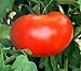 50 Big Boy Hybrid Tomato Seeds - My Secret Gardens primary