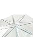 House Of Reign Clear Umbrella BIG 47 INCH ARCH for Women - Auto Open with EXTRA STRONG Reinforced Fiberglass Ribs Fit for Two