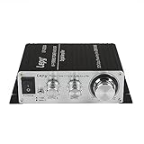 Lepy LP-2020A Class-D Hi-Fi Digital Amplifier with Power
Supply Black