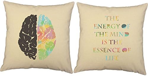 Set of 2 RoomCraft Left Brain Right Brain Throw Pillows 16x16 Square White Cotton Science Psychology Cushions