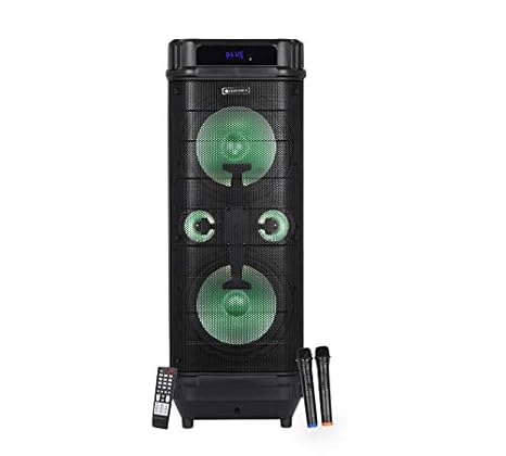 zebronics pro 2x10 price