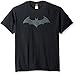 DC Comics Men's Batman Short Sleeve T-Shirt, Hush Black, 2XL