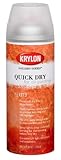 Krylon K1373 Quick Dry For Oil Paintings