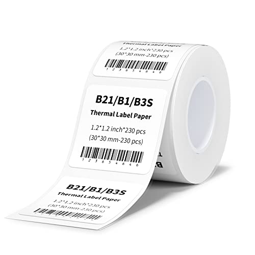 NIIMBOT B1 Label Tape B21 Self-Adhesive Labeling