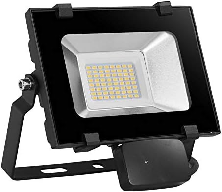 happygirr 10W Motion Sensor Light, PIR Floodlight, Outdoor LED Super Bright, Waterproof IP65, Security Light, AC 200-240V for Garden, Yard, Warehouse, Square (Cold White)