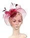 Urban CoCo Women's Elegant Flower Feather and Veil Fascinator Cocktail Party Hair Clip Hat (Wine red)