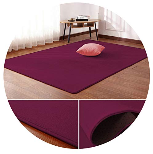 Coral Velvet Carpet Living Room Floor mat Bedroom Non-Slip Blanket Living Room Rug Bedroom Bedside Rectangular Floor pad,3,200cm x200cm