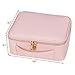 Ollieroo Makeup Train Case Professional 9.8” Travel Makeup Cosmetic Artist Organizer with Adjustable Dividers Pink