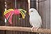 Big Birdie Bow Tie Bird Toy – Perfect Cage Toy for Playing and Preening – Colorful, Safe, Cotton Rope – Great for Medium to Large Sized Birds – Easy to Install – Fully Engaging Activity for Your Birdthumb 1