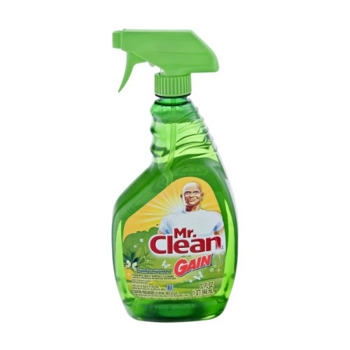 Mr. Clean with Gain Original Fresh Scent MultiSurface