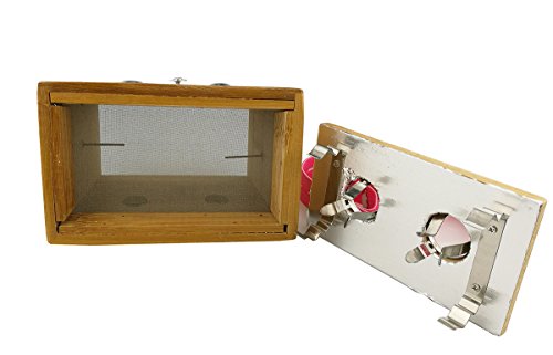 Winterworm Bamboo Two Hole Healing Box for Moxa Moxibustion Medicine Therapy