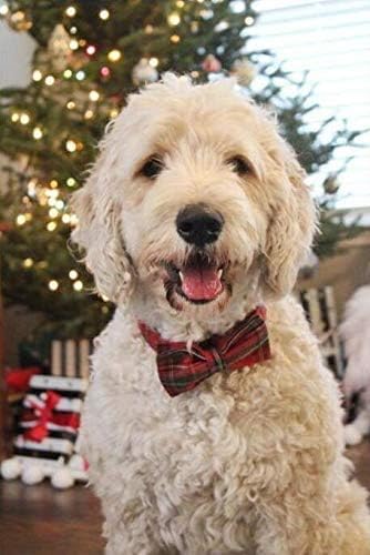 Unique style paws Dog Collar with Detachable Bow tie, Adjustable Dog Collars with Bow for Small Medium Large Dogs or Cats XXS-XL - Image 5