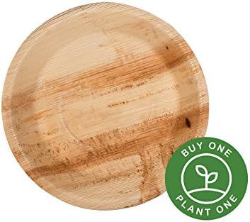 25 Heavy Duty Disposable and Home Compostable Party Plates made from Palm Leaf • 9 inch Round