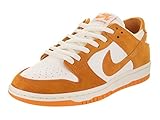 NIKE Men's SB Zoom Dunk Low Pro Skate Shoe