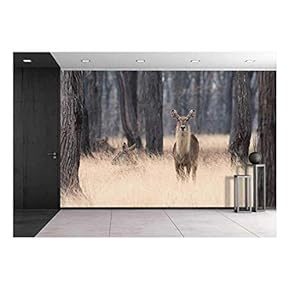 Waterbuck (Kobus Ellipsiprymnus) Standing in Tall Grasses Amongst Trees - Removable Wall Mural | Self-Adhesive Large Wallpaper - 66x96 inches