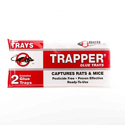 Trapper Rat Glue Boards Traps Rat-48 boards