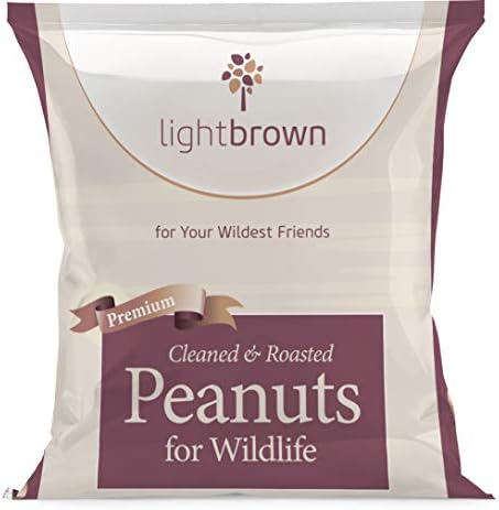 Lightbrown Premium Cleaned & Roasted Peanuts