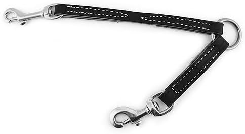 leerburg prong collar