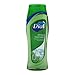 Dial Body Wash, Mountain Fresh, 16 Fl. Oz