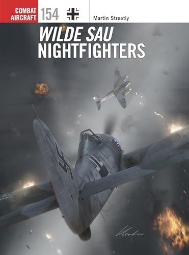 Nakajima Ki-49 'Helen' Units (Combat Aircraft, 148): Eleftheriou