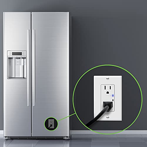 TOPGREENER Surge Protector Receptacle with Grounding Indicator, Child