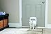 PetSafe Exterior/Interior Cat Door: 4-Way Locking Pet Door Flap - Tinted Privacy Door for Outdoor or Indoor Use - Weatherproof, Durable Door Frame - DIY Easy Install with Hardware Kit Included