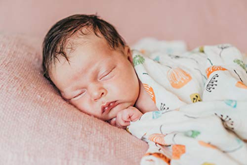 Organic Muslin Swaddle Blanket by Margaux & May - Dandelion & Meadow - 47 x 47 inch Ultra Soft Muslin Swaddle Blankets - Perfect Baby Shower Gift