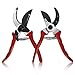 Pruning Shears - Wsiiroon Sharp Bypass Pruning Tools,Pruning Snip,Tree Trimmer, Premium Titanium Garden Shears, Hand Pruner,Clippers For The Garden.