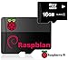 16GB Raspberry Pi Noobs Micro SD Card - Class 10, Compatible with Pi 4, 3 Models & Zero