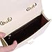 HDE Women's Small Crossbody Handbag Purse Bag with Chain Shoulder Strap (Champagne)