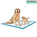 PetsWorld Extra Large Potty Pads for Dogs, Odor Eliminating 30