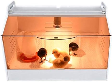 Amazon Com Ma Poule Express Brooder Incubator Ceramic Infrared