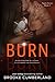BURN: (Book 2) (Spark Series)