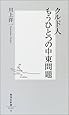 クルド人もうひとつの中東問題 (集英社新書)