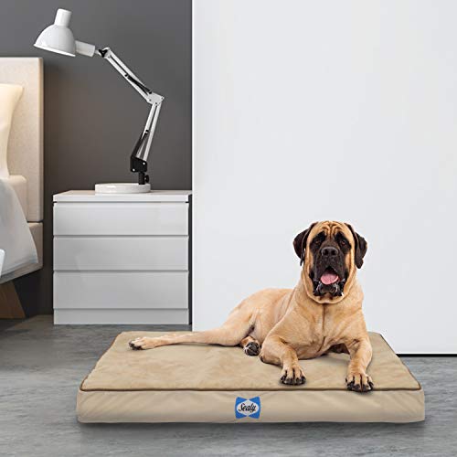 Sealy Orthopedic Dog Bed Tan Jumbo (38" x 48") Pricepulse