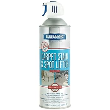 Amazon.com: Blue Magic Carpet Stain & Spot Lifter 22 Oz. (pack 2 ...