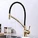 GAPPO Commercial Lead Free Pull Out Sprayer Gold Kitchen Sink Faucet, Single Handle Kitchen Faucets with Deck Plate