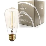 Hudson Lighting Vintage Antique Style Edison Bulb - 1 Pack - ST64 - Squirrel Cage Filament - 230 Lumens - 60 Watt - Dimmable - E26 Bulb Base - Classic Squirrel Cage Filament