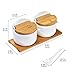 Lucky Goddness Ceramic Sugar Bowl with Lids and Spoons-Porcelain Condiment Container Spice Jar,Salt Cellar for Kitchen,with Chalkboard Labels,8.8 fl oz 260ML