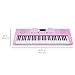 Best Choice Products 61-Key Portable Electronic Keyboard Piano w/LED Screen, Record & Playback Function, Microphone, Headphone Jack (Pink)