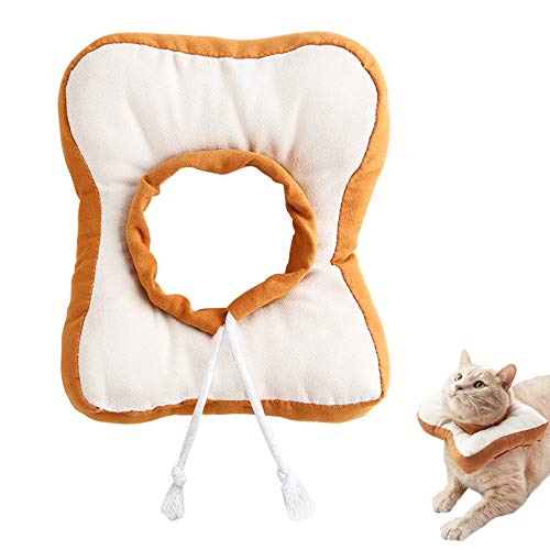 Elizabethan & Recovery Collars